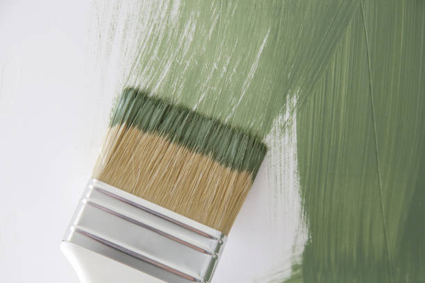 Trusted Sundance, WY Mold Removal Experts