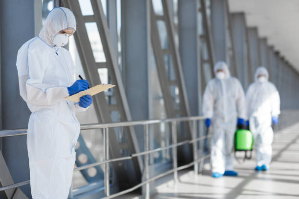 Best Emergency Mold Remediation  in Sundance, WY