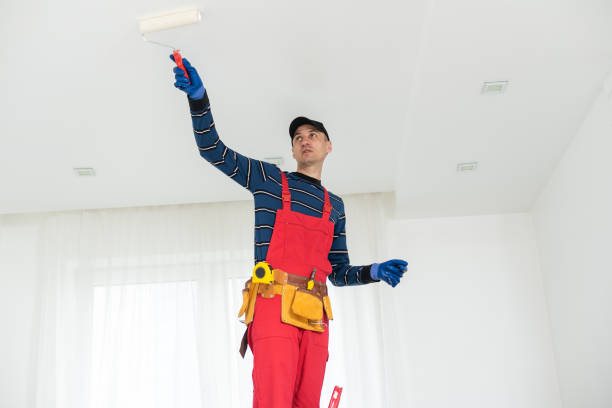 Best Basement Mold Removal  in Sundance, WY