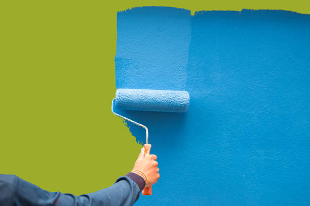 Best Environmental Consulting for Mold Prevention  in Sundance, WY