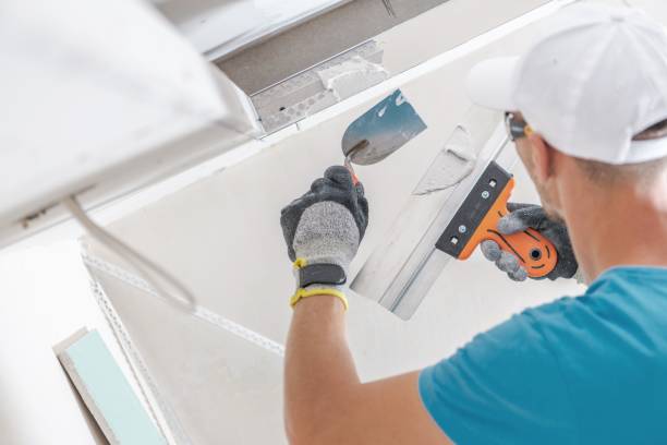 Best Mold Documentation for Insurance Claims  in Sundance, WY